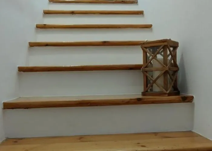 Loft * Пелекас