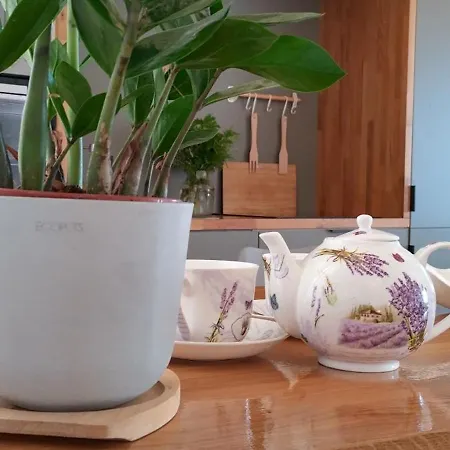 Apartmán Loft Pelekas