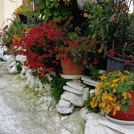 Su Casa *
