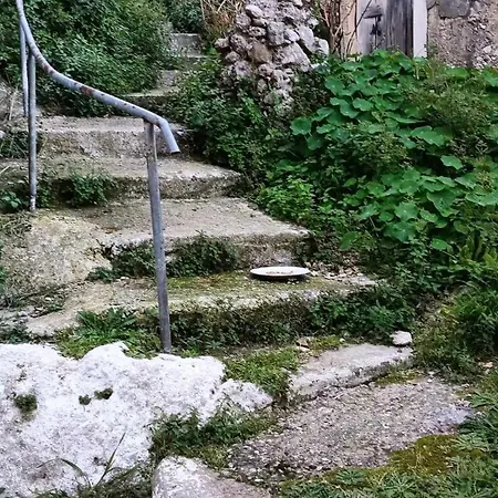Loft דירה פלקאס